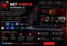 net mirror for windows