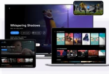 netmirror on pc